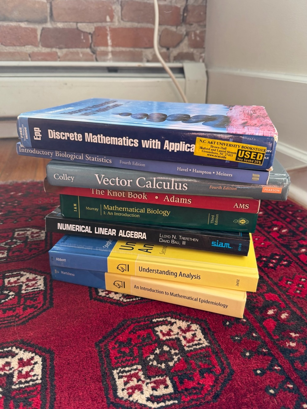 BUNDLE: 8 Mathematics Textbooks